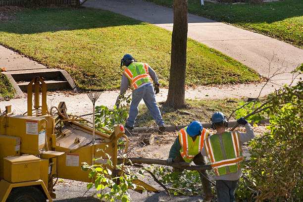 Best Lawn Drainage Solutions  in Acworth, GA